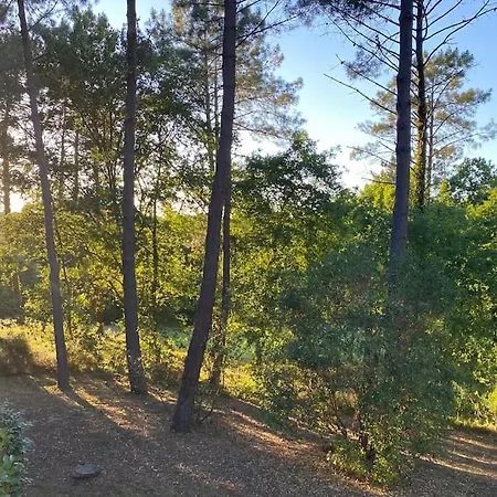 Golf-lac Piscine 2 Chambres 6 Pers Max *